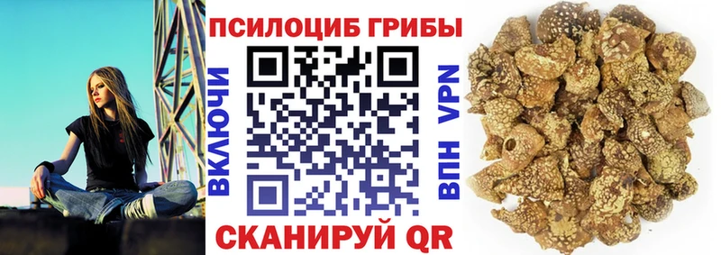 Псилоцибиновые грибы ЛСД  как найти закладки  блэк спрут ССЫЛКА  Облучье 